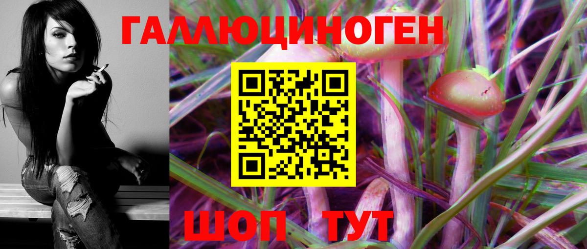 Междуреченск  Галлюциногенные грибы Psilocybe  Вход с VPN 